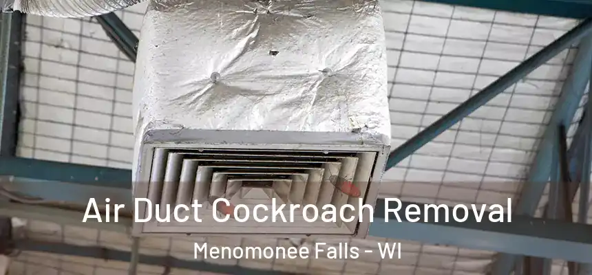 Air Duct Cockroach Removal Menomonee Falls - WI