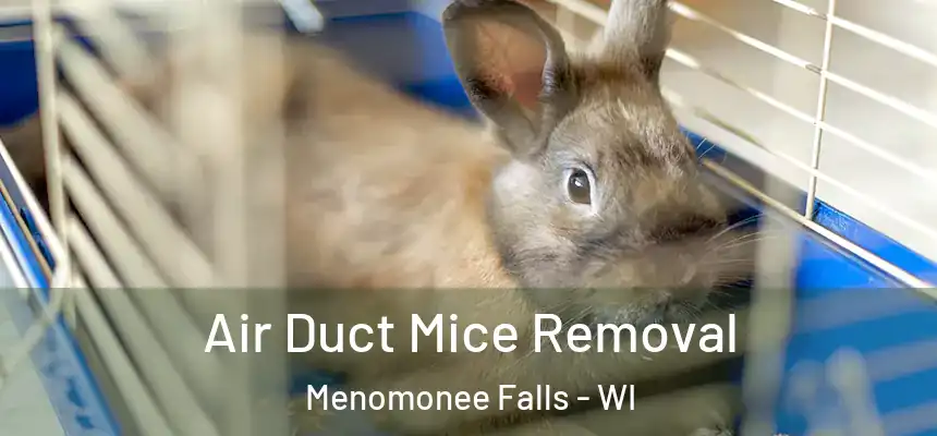  Air Duct Mice Removal Menomonee Falls - WI