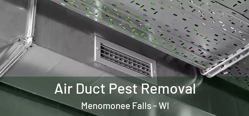 Air Duct Pest Removal Menomonee Falls - WI