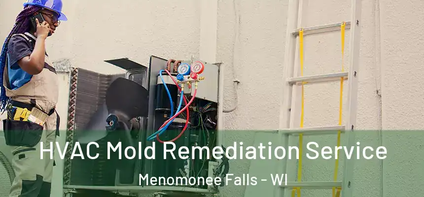 HVAC Mold Remediation Service Menomonee Falls - WI