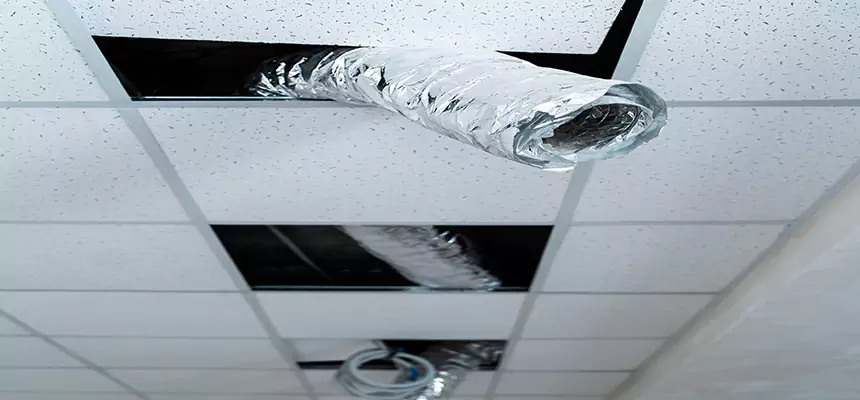 Affordable HVAC Sanitizing After Pest Removal in Menomonee Falls