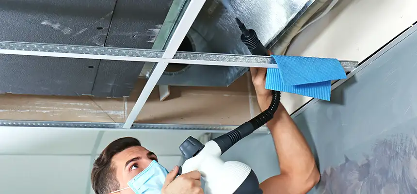Our Air Duct Rodent Removal Services in Menomonee Falls, WI