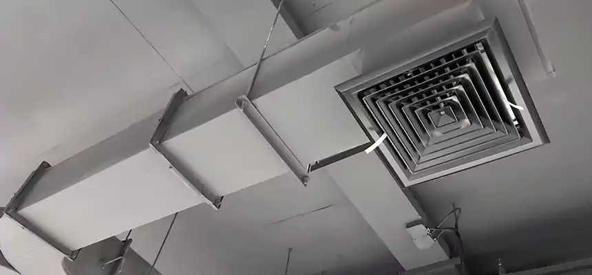 Restorative Allergy Relief Vent Cleaning – Coil, Blower & Housing Detail in Menomonee Falls