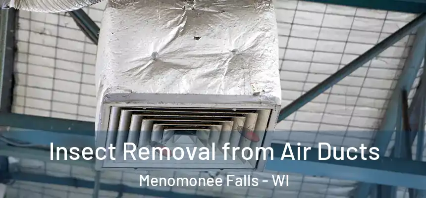 Insect Removal from Air Ducts Menomonee Falls - WI