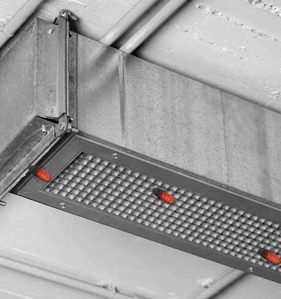 About Air Duct Cockroach Removal in Menomonee Falls, WI