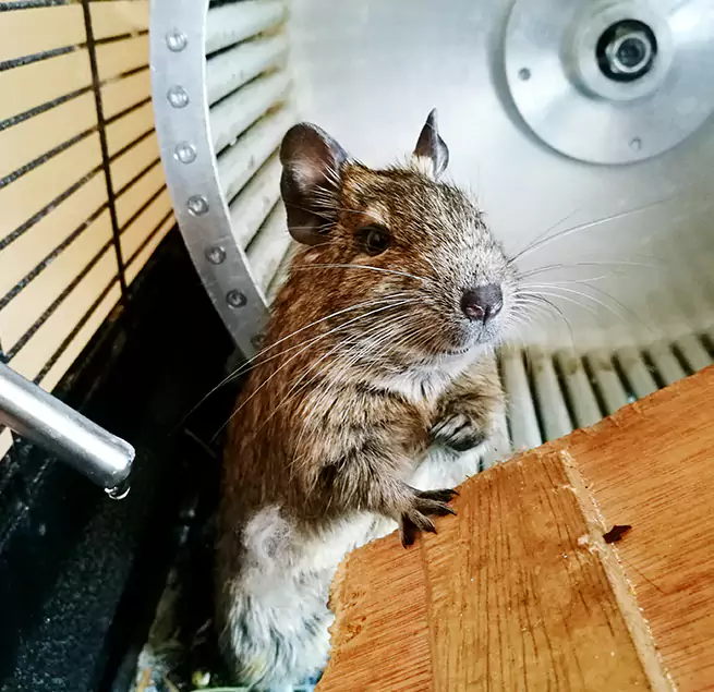 Why Homeowners & Businesses Trust Us Menomonee Falls, WI